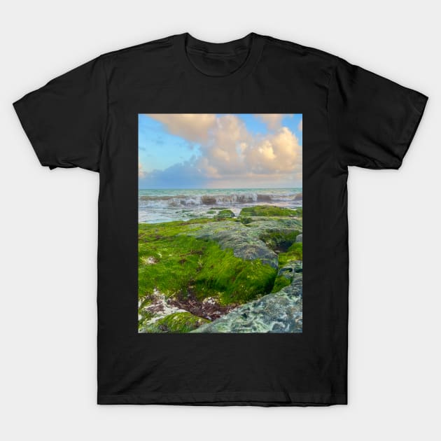 Tide Pools in Mexico T-Shirt by ephotocard